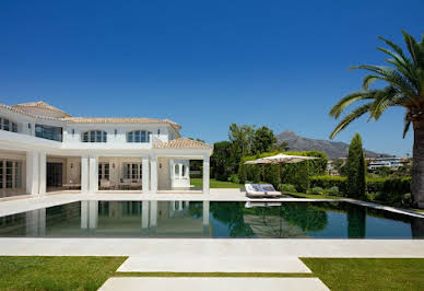 Villa with pool 2