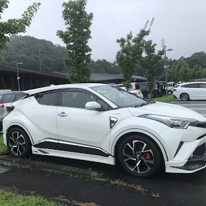 C-HR ZYX10