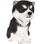 Cover Image of Tải xuống Puppy - Please take care of the dog on the screen. 1.38 APK