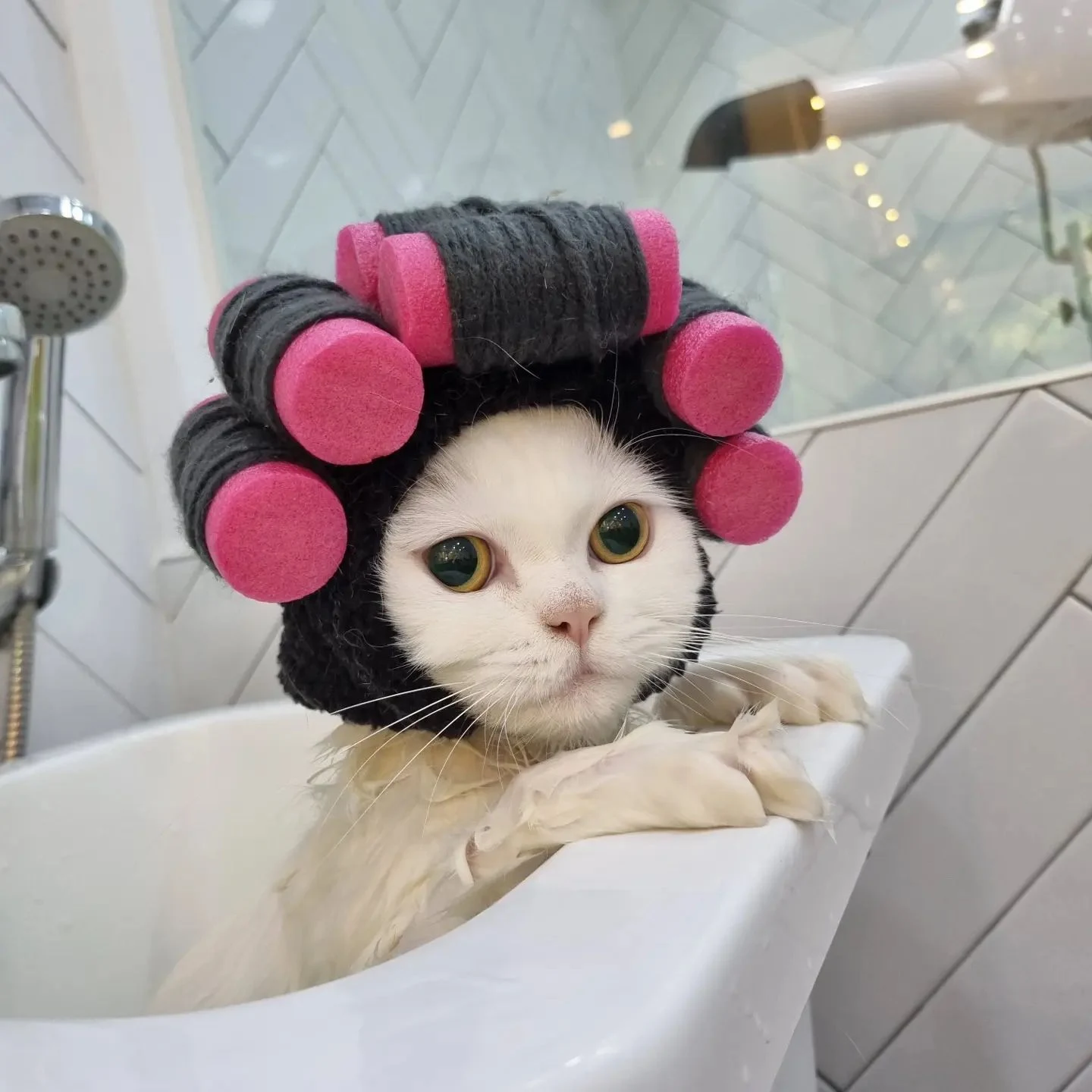 Title 6, Curly Hair Perm Haircut Drag Head Cover Achieve...