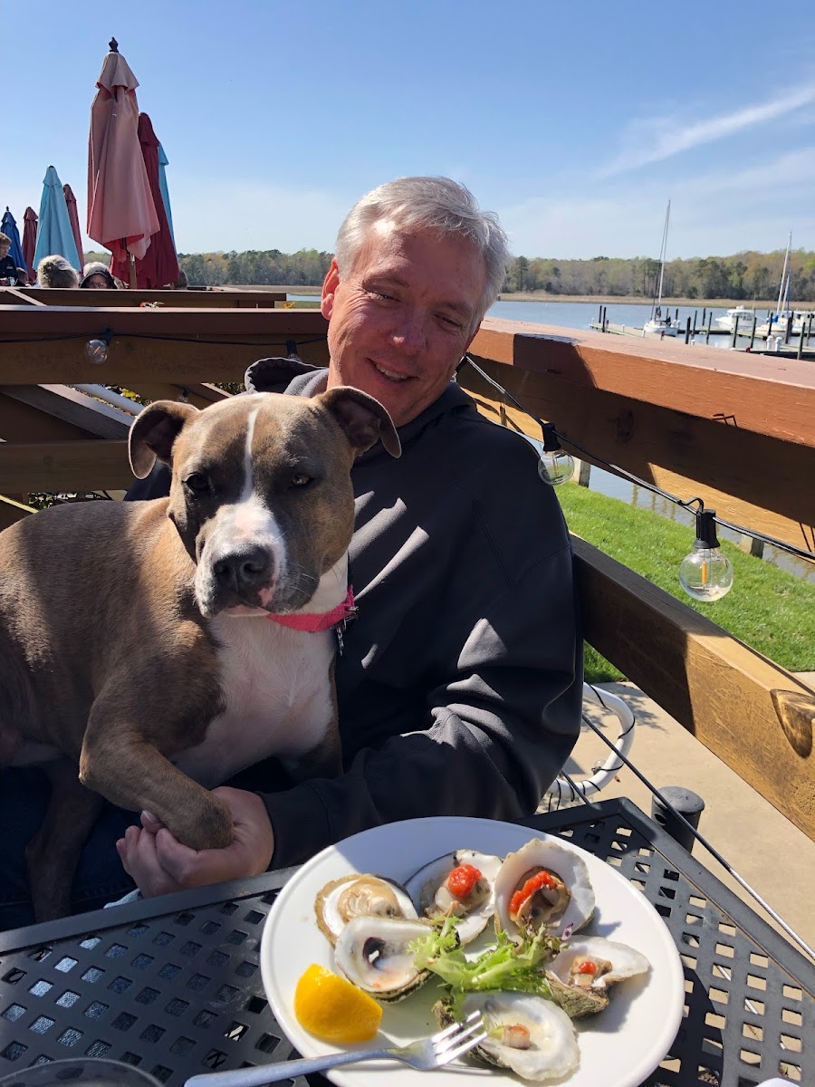 Pup with Celiac dad at Surry Seafood Co