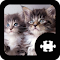 Logoafbeelding van item voor Kat & Kitten Puzzle