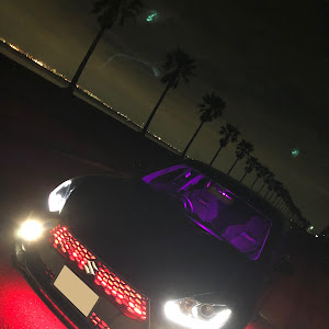 スイフトスポーツ ZC33S