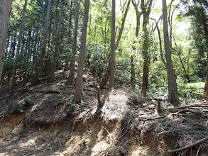 ここから砥山の急登に