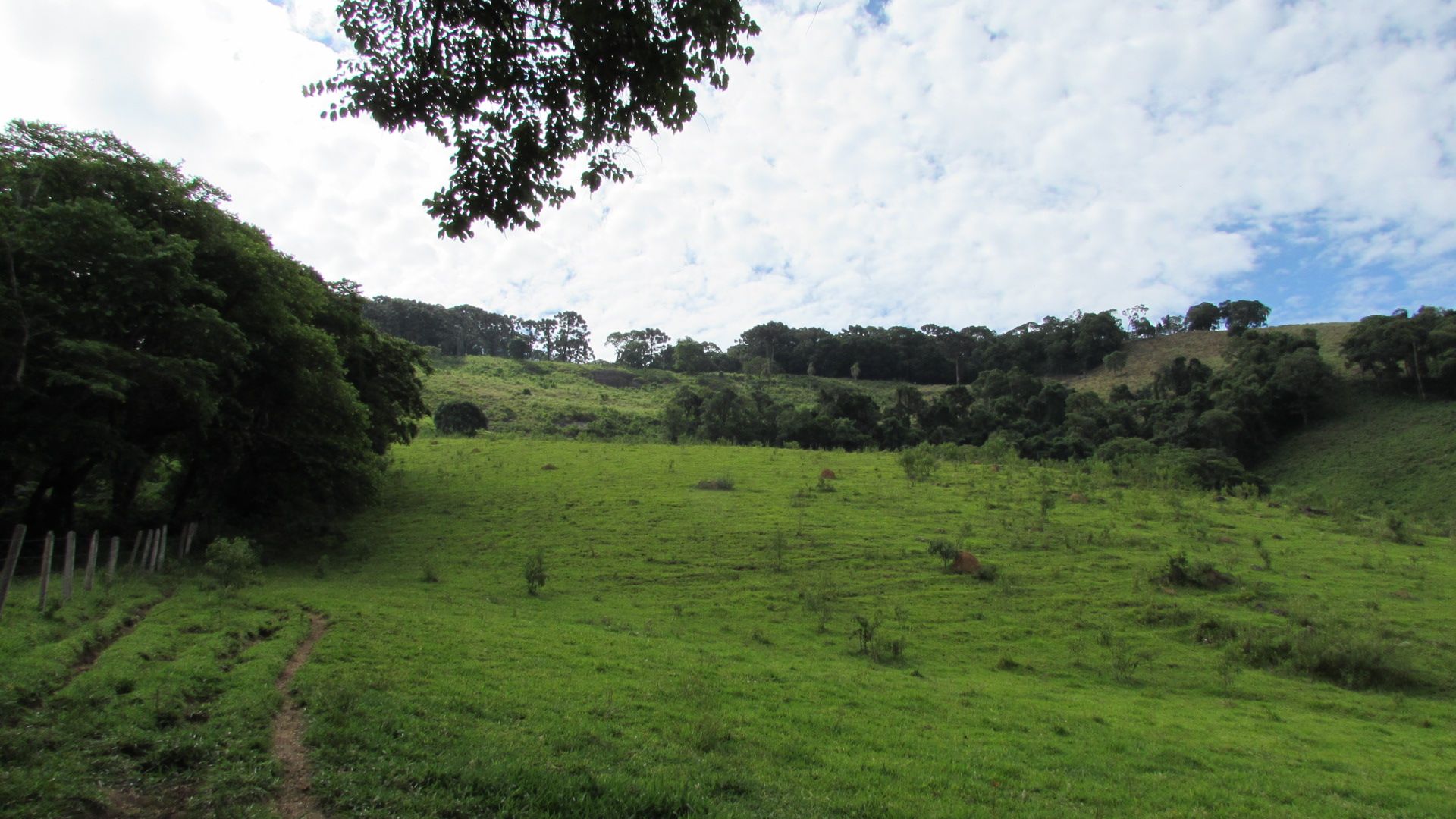 Sítios à venda Monte Verde