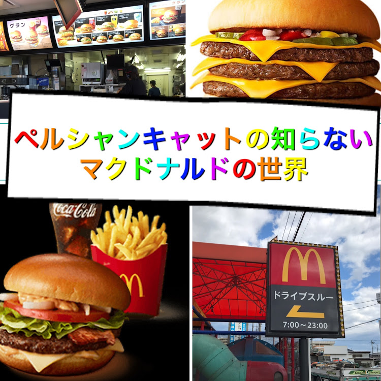 Persiancatインスタ&LINEブログ開設さんが投稿したドライブ・ドライブスルー・マクドナルド・ポテトに関するカスタム事例の投稿画像1枚目