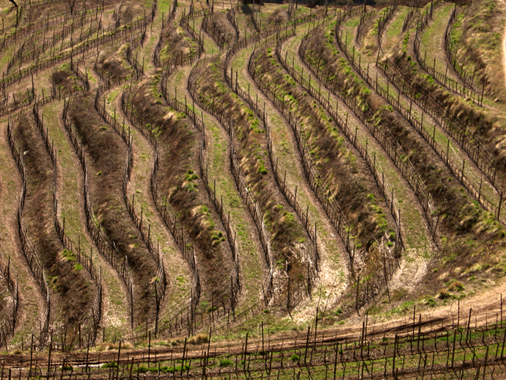 Terra Prigioniera di Marco Buggio