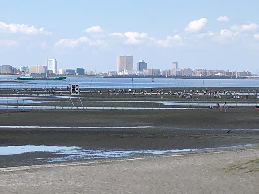 船橋三番瀬海浜公園