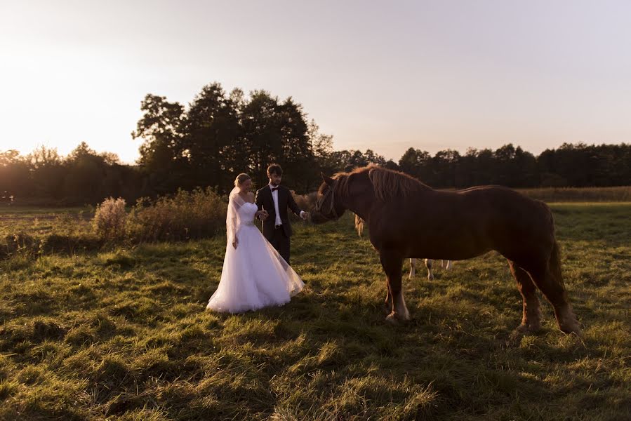 Bryllupsfotograf Katarzyna Manikowska (manikowska). Bilde av 27 oktober 2016