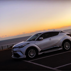 C-HR ZYX10