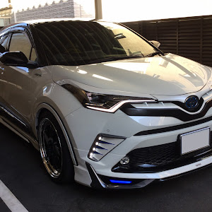 C-HR ZYX10