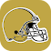 Wallpapers for New Orleans Saints Fans icon