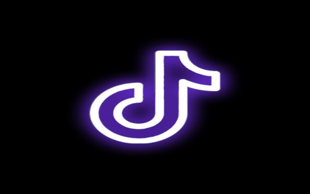 TikTok Mobile View Preview image 2