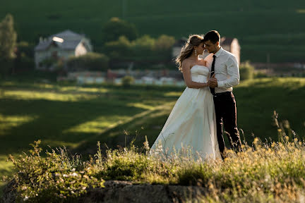 Fotógrafo de casamento Aleksandr Elcov (prowed). Foto de 5 de julho 2017