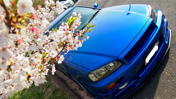 スカイラインのドライブ・スカイライン・さくら🌸・桜と愛車に関するカスタム事例の投稿画像1枚目