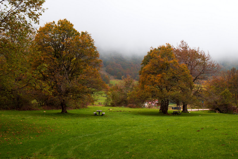 Autunno nel bosco di Matteo90