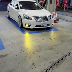 ティアナ L33