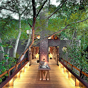 A second, more open bridge links the kitchen to the 'arch' structure, and together they serve as an outdoor entertaining area among the treetops.