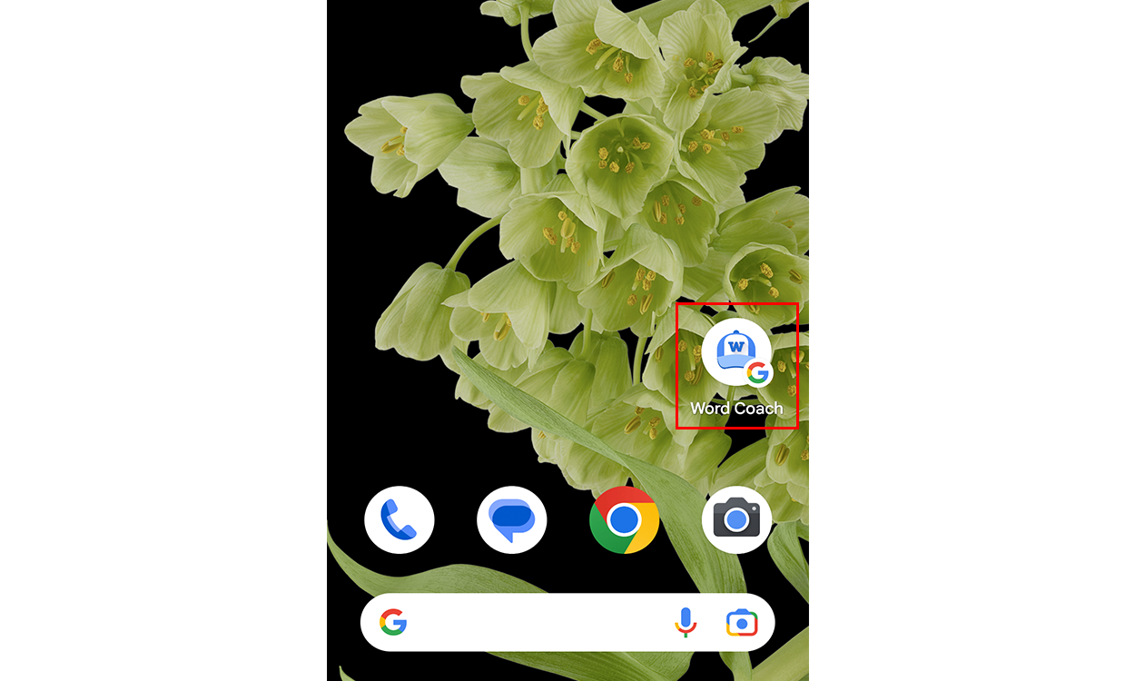 Google Word Coach のショートカットが配置されたホーム画面