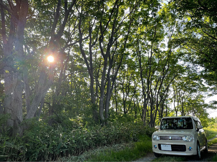 アルトラパンの泊まり明けの日に・ワイパーアーム交換・ワイパーアーム カーボン・KTC工具・木漏れ日と愛車に関するカスタム事例の投稿画像1枚目
