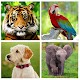 Animals for Kids Download on Windows