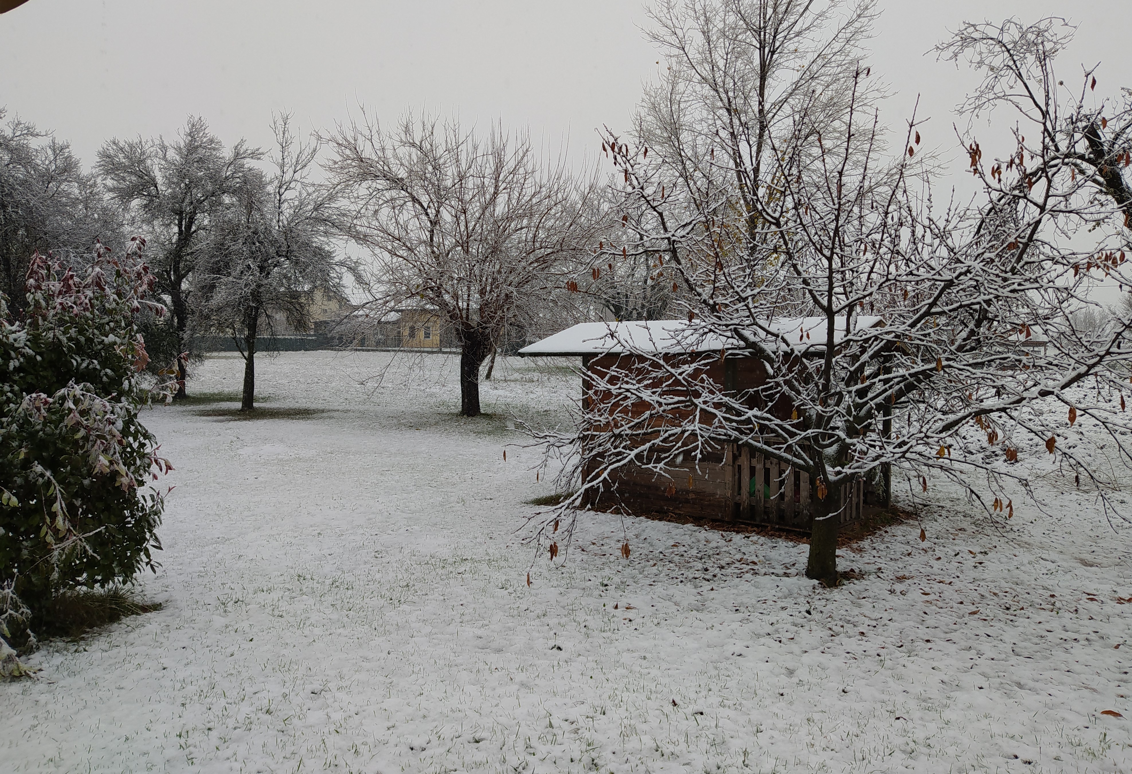 bianco del mattino di ele_betta