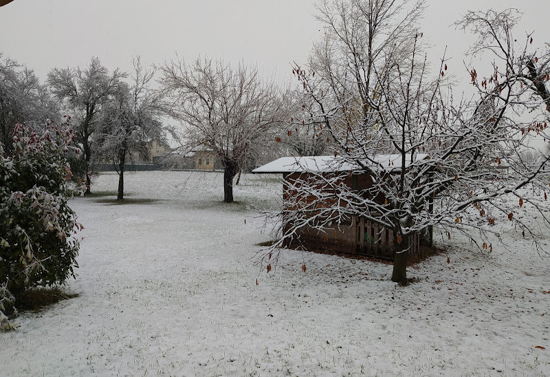 bianco del mattino di ele_betta