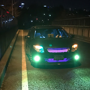 カローラフィールダー