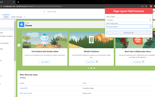 Page Layout Field Extractor - Salesforce