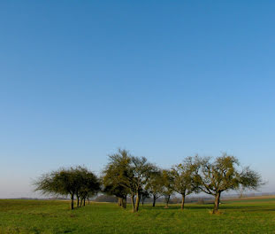 terrain à Mimizan (40)