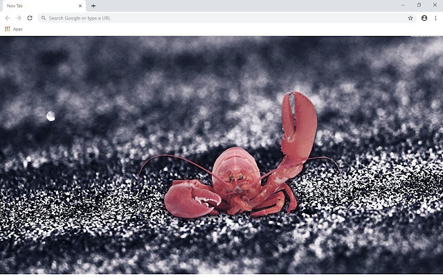 Lobster Wallpapers and New Tab