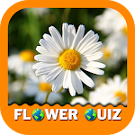 Cover Image of Скачать Flower Quiz 1.9 APK