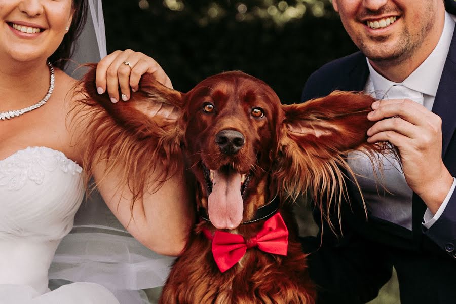 Fotógrafo de casamento József Márk Losonczi (losonczi). Foto de 23 de novembro 2020