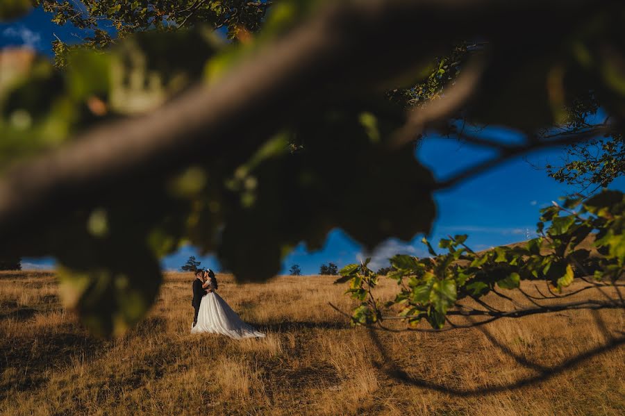 Wedding photographer Constantin Alin (constantinalin). Photo of 12 October 2023