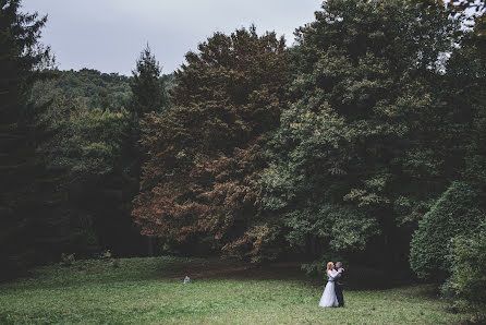 Pulmafotograaf János Gergely Debreczi (debreczi). Foto tehtud 18 oktoober 2016