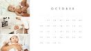 Baby Monthly - Monthly Calendar item