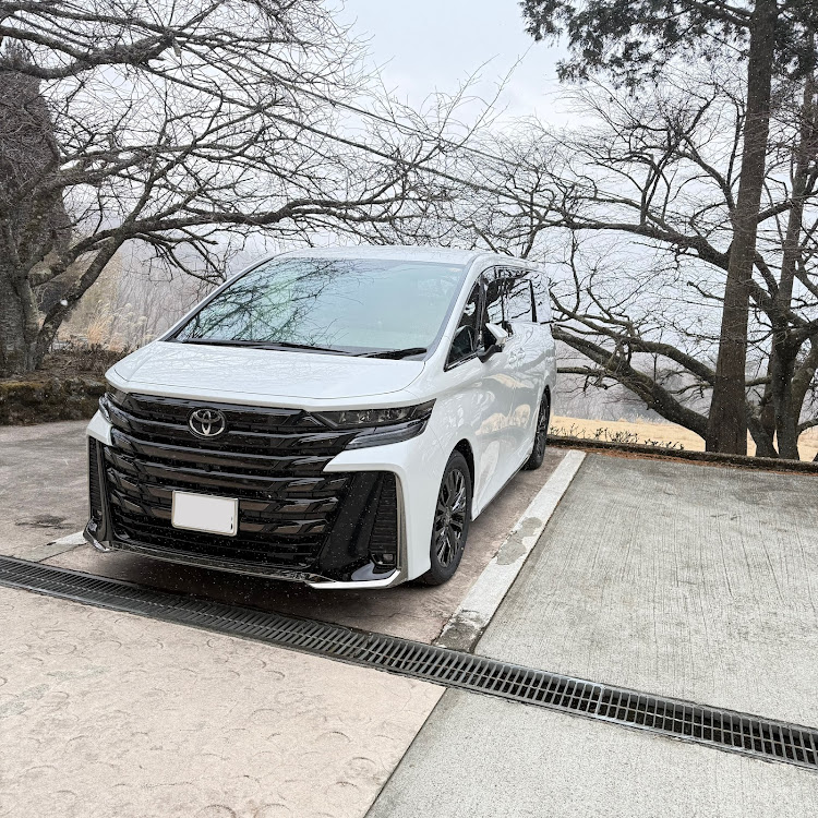 ヴェルファイアの納車されましたに関するカスタム事例の投稿画像2枚目