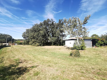 terrain à Aussonne (31)