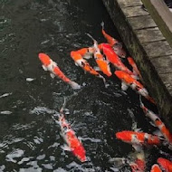 松葉園餐廳