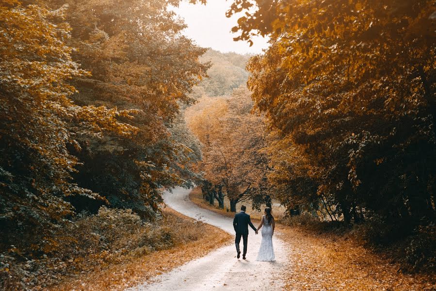 Wedding photographer Nikola Segan (nikolasegan). Photo of 15 October 2018