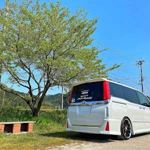 ヴォクシー ZRR80W