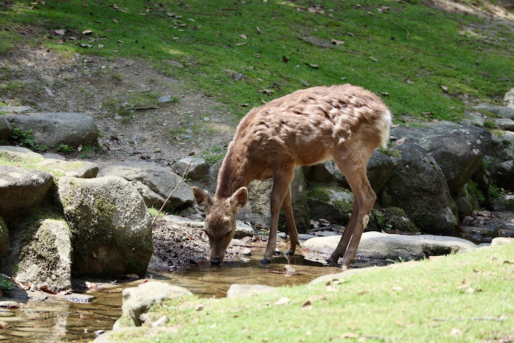 の投稿画像2枚目