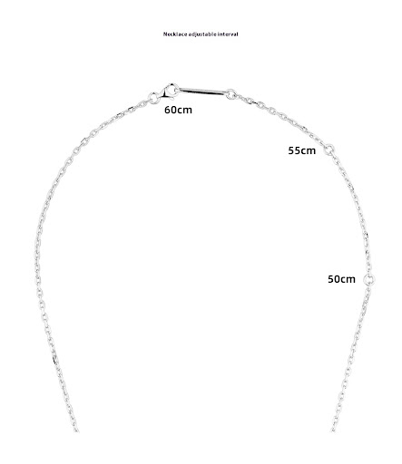 Title 3, 925 Sterling Silver Rotating Compass Pendant Ne...