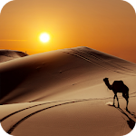 Cover Image of डाउनलोड Desert Wallpaper 4K Latest 1.03 APK