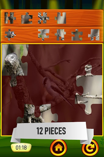 Birds Jigsaw Puzzle