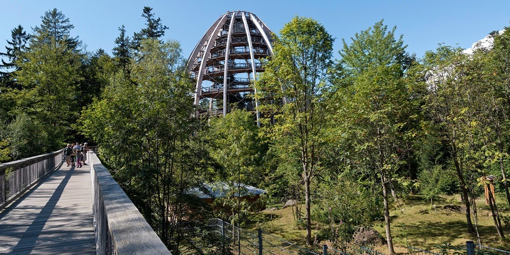 Neuschonau, a caminhada mais alta e longa em árvores do mundo