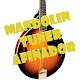 Download Mandolin Tuner Afinador For PC Windows and Mac 1.0