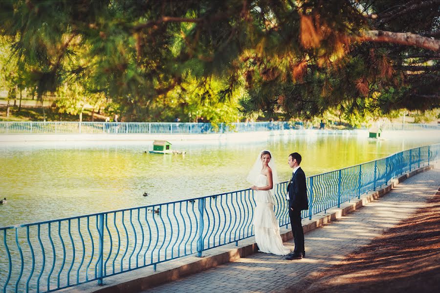 Wedding photographer Dmitriy Vasilenko (dmvasilenko). Photo of 10 February 2015