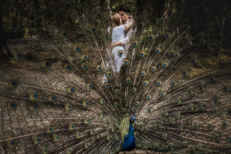 Fotógrafo de casamento Nuno Lopes (nunolopesphoto). Foto de 29 de junho 2023