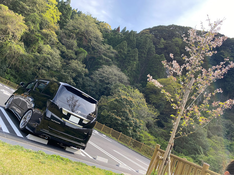 クラウンロイヤルのサクラと愛車・家族仲良し・福岡タワーに関するカスタム事例の投稿画像4枚目